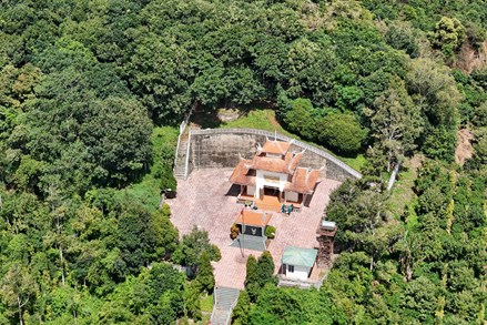 Khảo sát, xác minh vị trí nghi có hài cốt liệt sĩ khu vực Di tích Đồi 722, xã Đắk Sắk, tỉnh Lâm Đồng