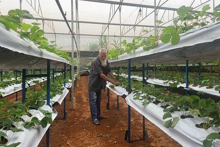 Nông nghiệp số mở hướng sinh kế mới cho đồng bào dân tộc thiểu số 