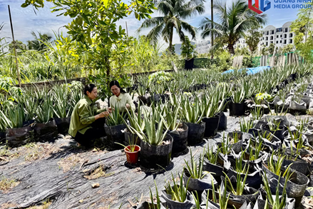 Quảng Ninh: Góp sức xây dựng đô thị văn minh