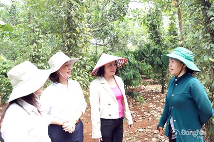 Đồng Nai: Xây dựng nông thôn hiện đại, xanh và bền vững