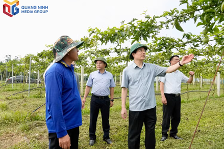 Quảng Ninh: Tập hợp sức dân từ những mô hình thiết thực