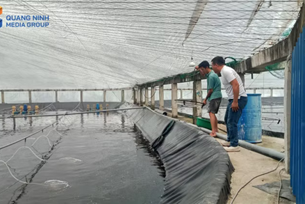 Khơi dậy sức dân trong xây dựng nông thôn mới hiện đại