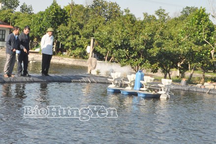 Phong trào thi đua “Tuổi cao - Gương sáng” ở xã Quang Hưng 