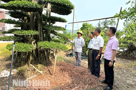 Ninh Bình triển khai phong trào “Gửi tiền tiết kiệm chung tay vì người nghèo”