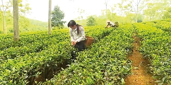 Đổi thay ở Tất Thắng