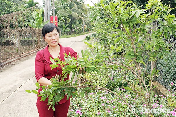 Bà Hường giỏi hòa giải