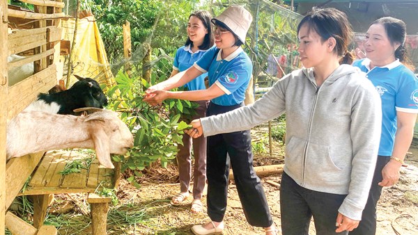 Huyện Bảo Lâm (tỉnh Lâm Đồng): Phát huy vai trò của Mặt trận và các đoàn thể trong công tác dân vận