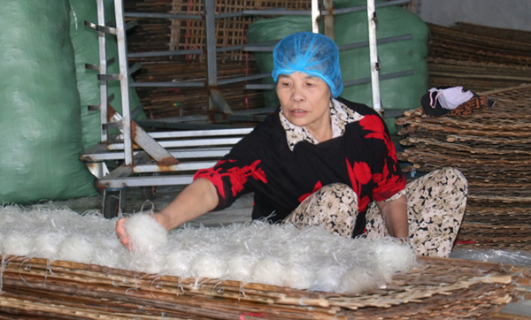 Mặt trận Tổ quốc các cấp tỉnh Nam Định vận động nhân dân tham gia bảo vệ môi trường