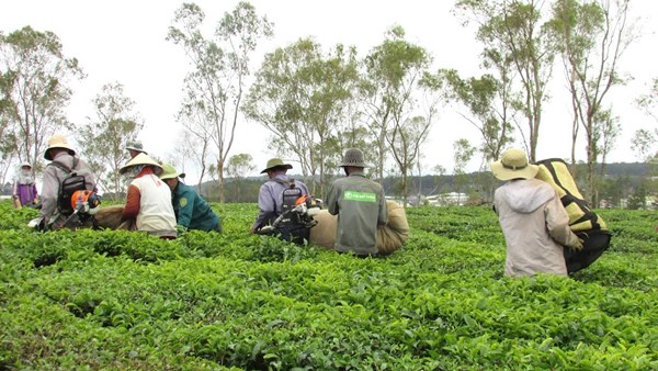 Thành phố Đà Lạt: Không ai bị bỏ lại phía sau