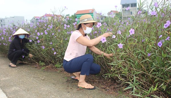 Lợi ích từ khu dân cư tự quản bảo vệ môi trường