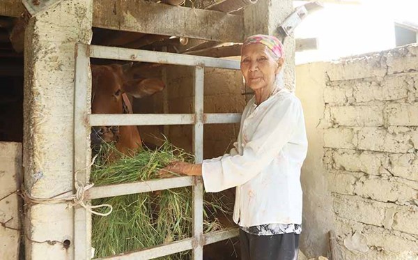 Huyện Đức Thọ phát huy vai trò của Mặt trận trong công tác giảm nghèo