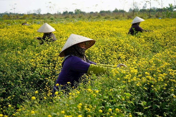 Hải Phòng “về đích” xây dựng nông thôn mới