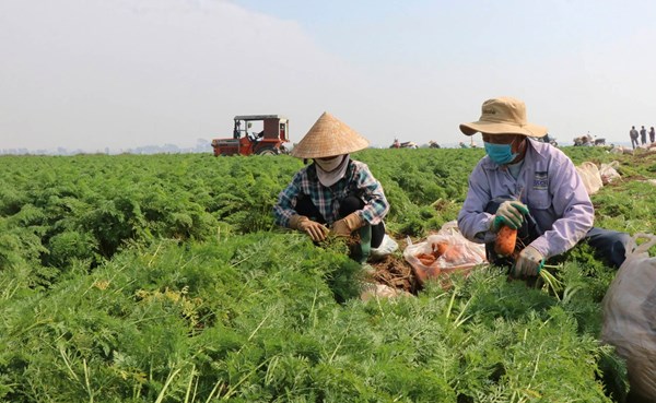 Tỉnh Bắc Ninh bứt phá xây dựng nông thôn mới nâng cao