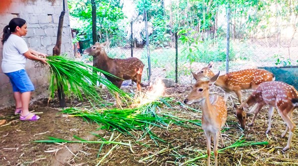 Nhiều mô hình hay, sáng tạo trong xây dựng nông thôn mới ở huyện Đakrông
