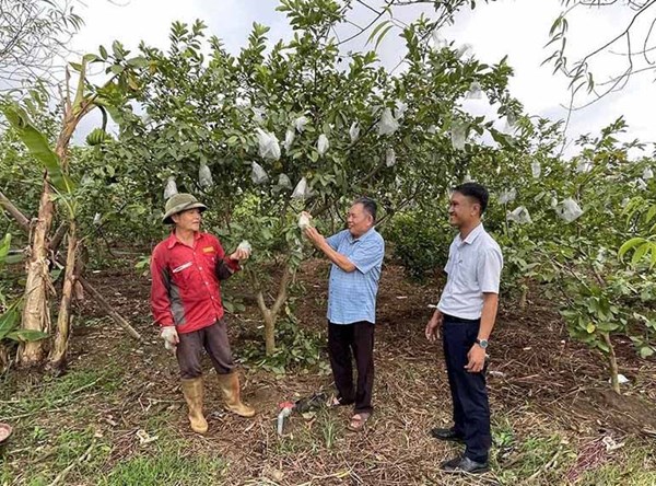 Thanh Hóa: Phát huy vai trò của MTTQ trong xây dựng nông thôn mới