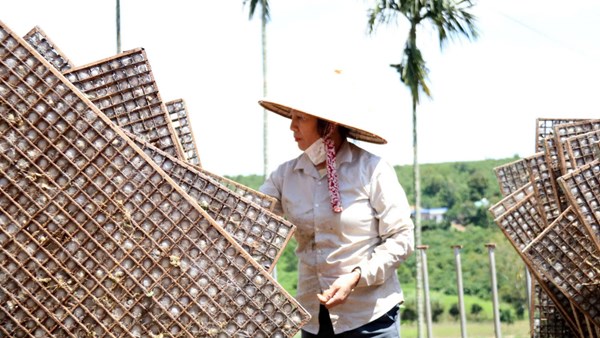Huyện Lâm Hà thực hiện hiệu quả các chương trình, dự án giảm nghèo