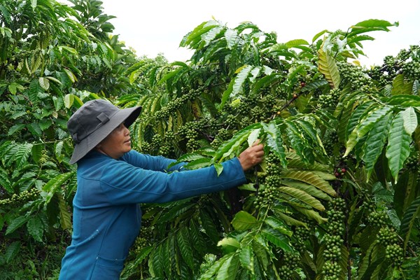 Khơi thông ý thức giảm nghèo trong đồng bào DTTS ở xã Tà Đùng
