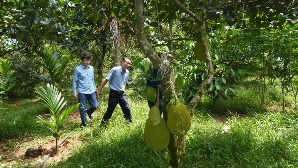Xã Sơn Cẩm Hà xây dựng xã nông thôn mới nâng cao