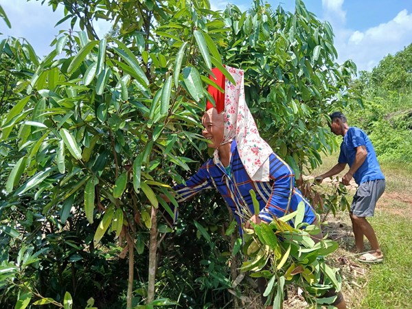 Động lực để người vùng khó thoát nghèo