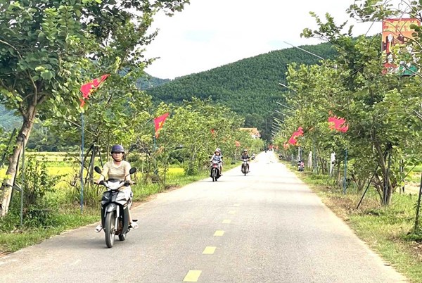 Kim Sơn chung sức dựng xây nông thôn mới