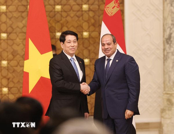 Chủ tịch nước Lương Cường hội đàm với Tổng thống Ai Cập