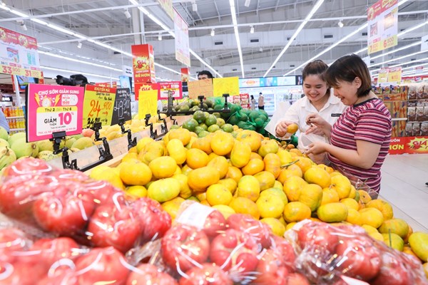 Kết luận số 207-KL/TW của Ban Bí thư về công tác bảo vệ quyền lợi của người tiêu dùng 