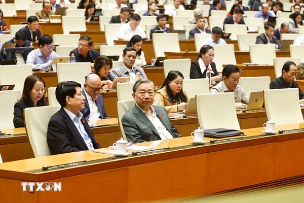 Kỳ họp thứ 10, Quốc hội khóa XV: Thông qua 4 Luật trong lĩnh vực tương trợ tư pháp 