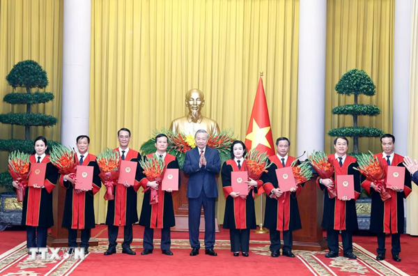 Tổng Bí thư, Chủ tịch nước Tô Lâm trao quyết định bổ nhiệm Thẩm phán TAND tối cao