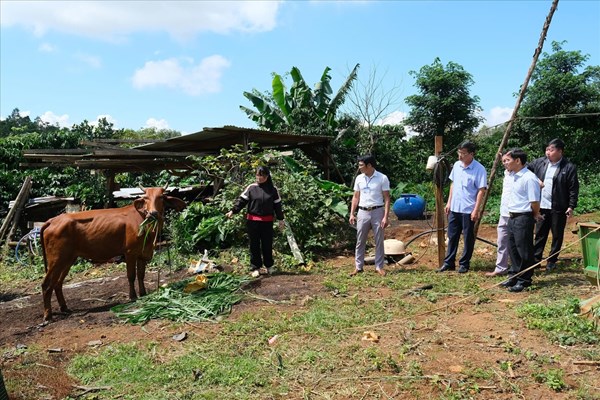 Chính sách hỗ trợ thiết thực tạo “bệ đỡ ” vững chắc cho hành trình giảm nghèo ở Lâm Đồng