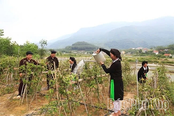 Phú Thọ: Đẩy mạnh an sinh xã hội gắn với xây dựng nông thôn mới