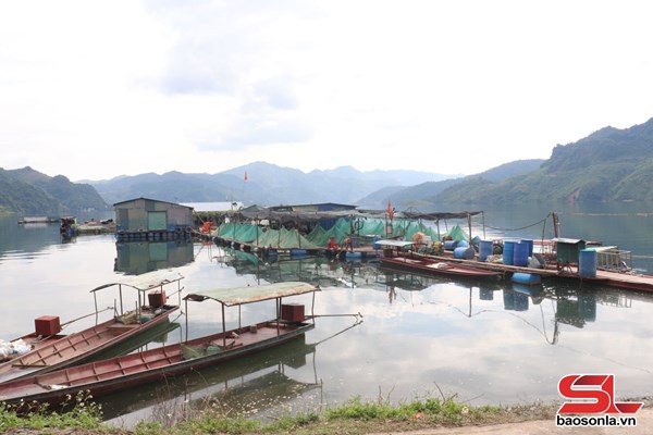 Sơn La: Chiềng Lao nỗ lực giảm nghèo bền vững