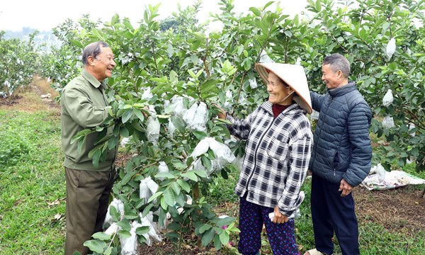 Bắc Ninh: Nối dài nhịp cầu đoàn kết