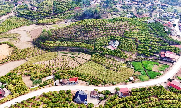 Bắc Ninh: Khơi nguồn lực phát triển vùng dân tộc thiểu số và miền núi