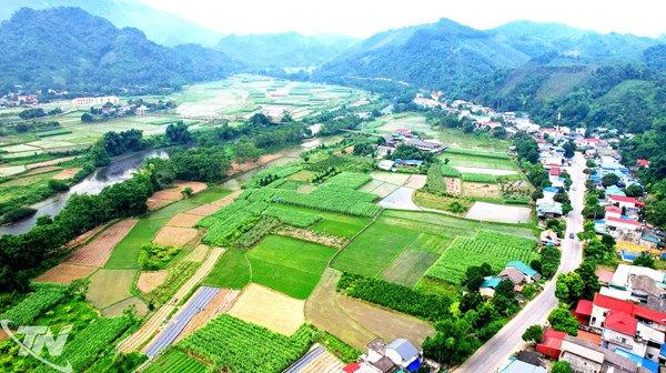 Thái Nguyên: Tạo sinh kế bền vững ở vùng khó khăn