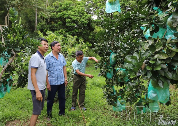 Điện Biên: Xã Thanh Nưa phấn đấu đạt chuẩn nông thôn mới