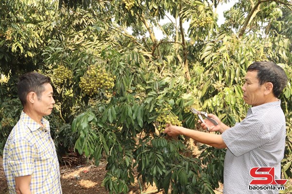 Sơn La: Người giữ lửa niềm tin ở bản làng vùng cao