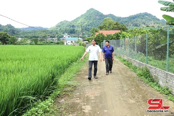 Sơn La: Tạo nguồn đảng viên từ phong trào thi đua