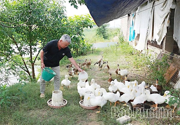 Phú Thọ: Sáng danh “Bộ đội Cụ Hồ” thời bình