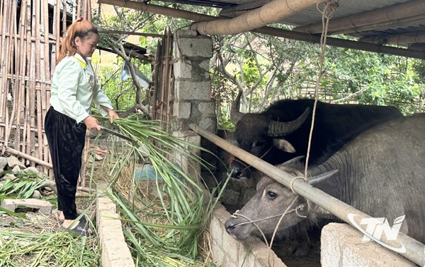 Thái Nguyên: Chương trình mục tiêu quốc gia: Tạo động lực để người dân thay đổi tư duy