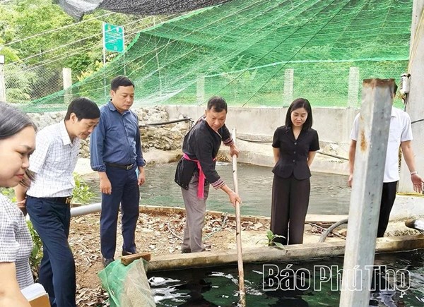 Phú Thọ: Để chính sách đến đúng địa bàn