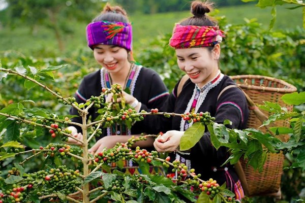 Chương trình MTQG 1719: Đặt nền móng cho sự phát triển bền vững vùng đồng bào DTTS và miền núi