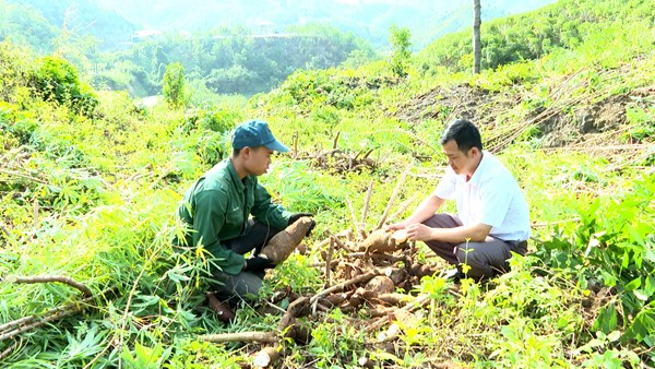 Lai Châu: Nông thôn khởi sắc từ các chính sách “tiếp sức”