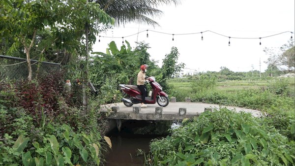 Đà Nẵng: Hội Cựu chiến binh phường Tam Kỳ xây dựng 12 cây cầu dân sinh