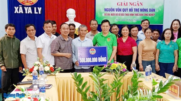 Quảng Ngãi: “Đòn bẩy” giúp nông dân phát triển kinh tế