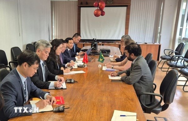 Nhật Bản và Brazil hỗ trợ Việt Nam khắc phục hậu quả bão lũ