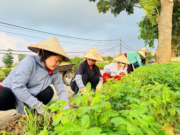 Dấu ấn tuyên truyền của Mặt trận ở cơ sở