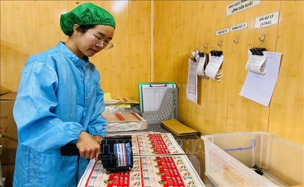 Đại hội XIV của Đảng: Hưng Yên kỳ vọng về nông nghiệp xanh, nông nghiệp tuần hoàn trong kỷ nguyên mới