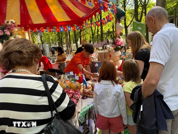 Xuân Bính Ngọ 2026: Ấm áp tình quê tại Hà Lan