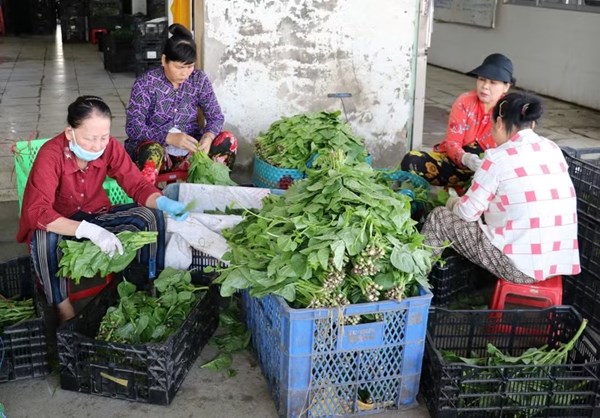 Đồng Tháp: Tạo sinh kế giúp hộ khó khăn thoát nghèo, ổn định cuộc sống