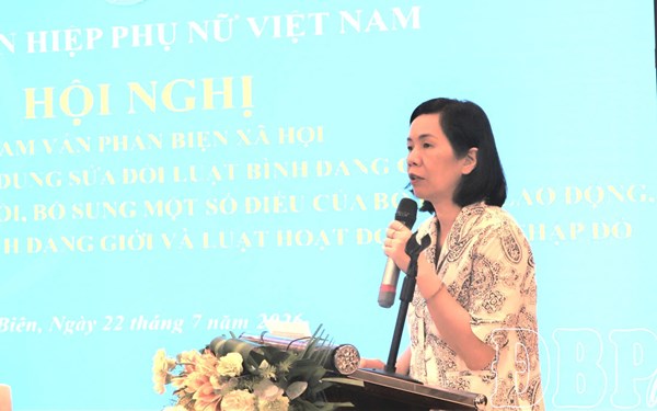 Trung ương Hội LHPN Việt Nam tham vấn phản biện xã hội, góp ý sửa đổi một số dự thảo luật